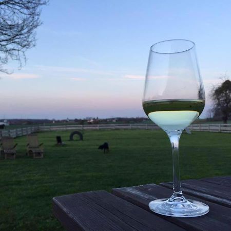 Ferienhaus S'Bunde Heisle ブラウフェルデン エクステリア 写真
